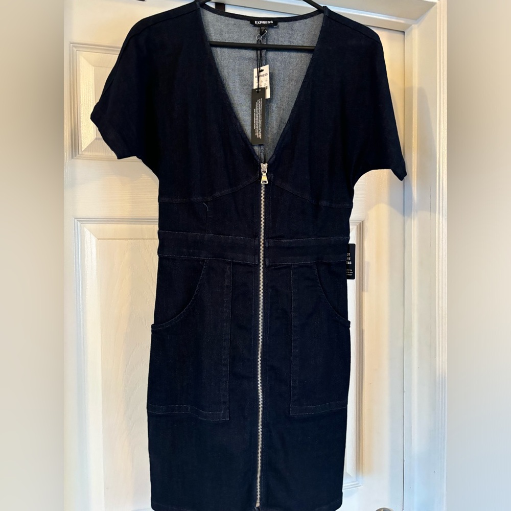 Express Denim Dress